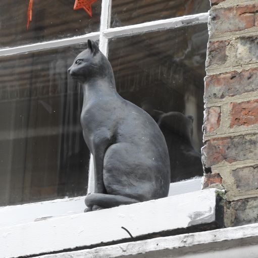 The Cat Gallery Cat 45 Low Petergate