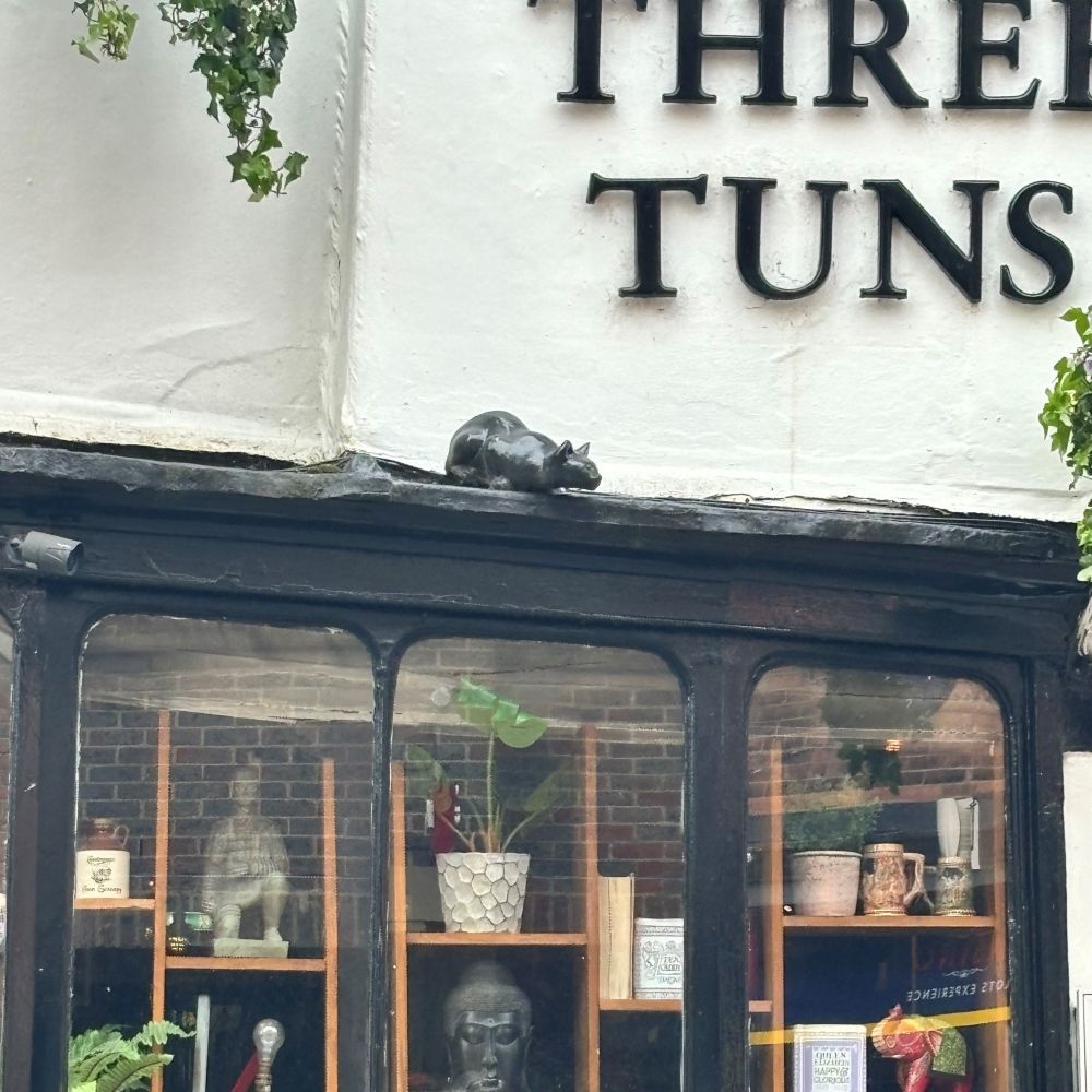 York Cat Hunt Cat 10 Three Tuns Pub