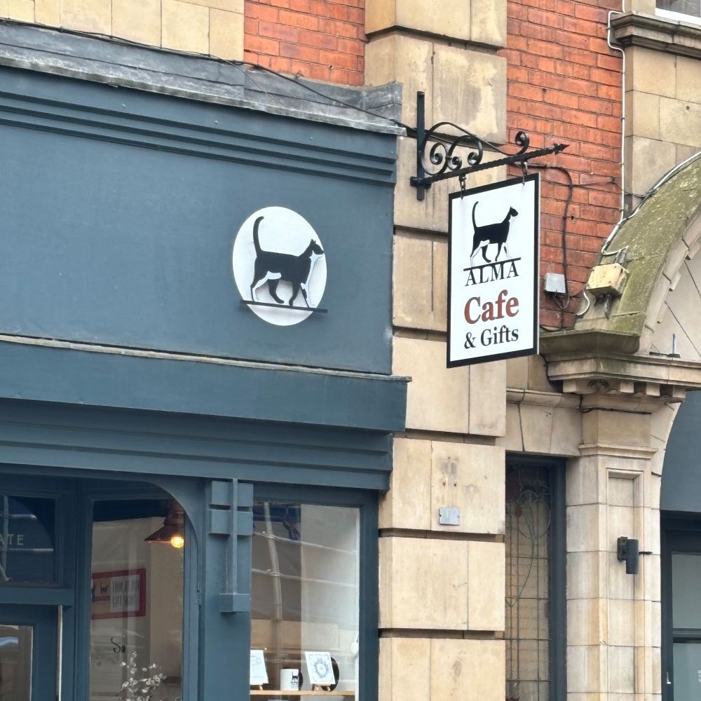 York Cat Hunt Cat 30 Alma Cafe