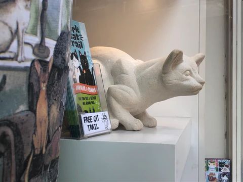 York Cat Hunt Cat 28