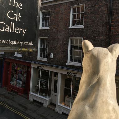 The Cat Gallery White Cat