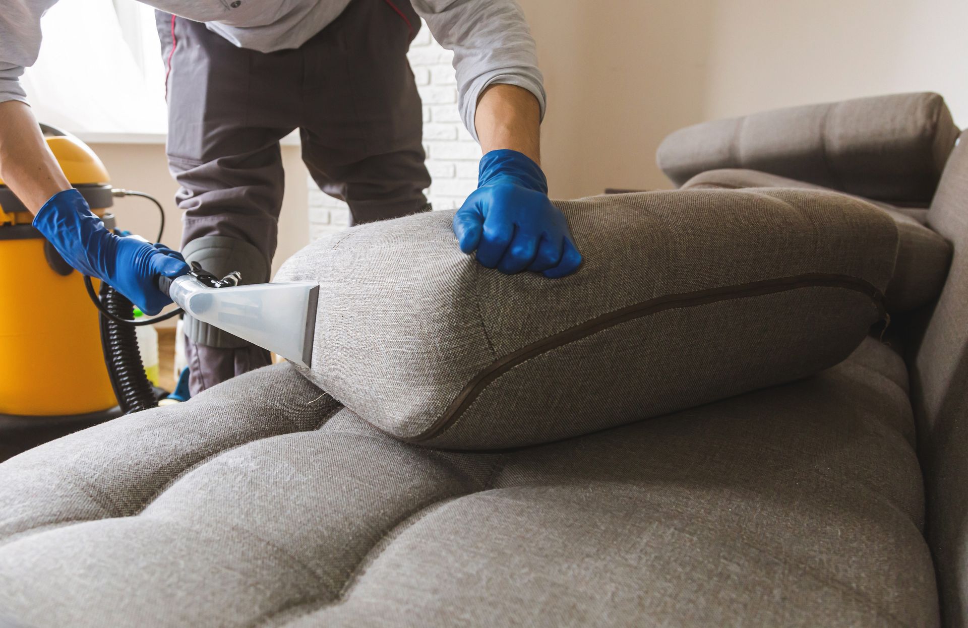 Person cleaning a gray sofa cushion with a steam cleaner and blue gloves