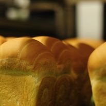pane bruschettato con formaggio sopra