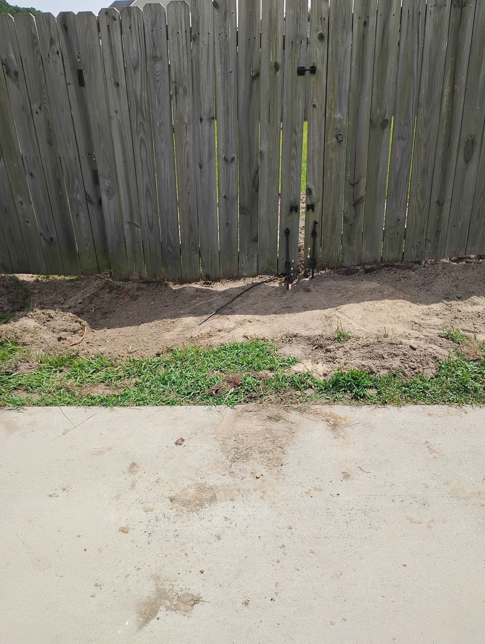 A wooden privacy fence stands behind a patch of soil and green weeds, adjacent to a section of concrete pavement.