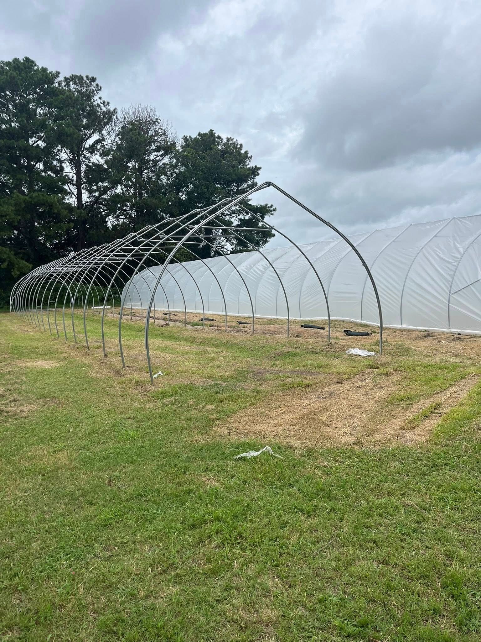 Two hoop house structures for farming stand in a grassy field under a cloudy sky.