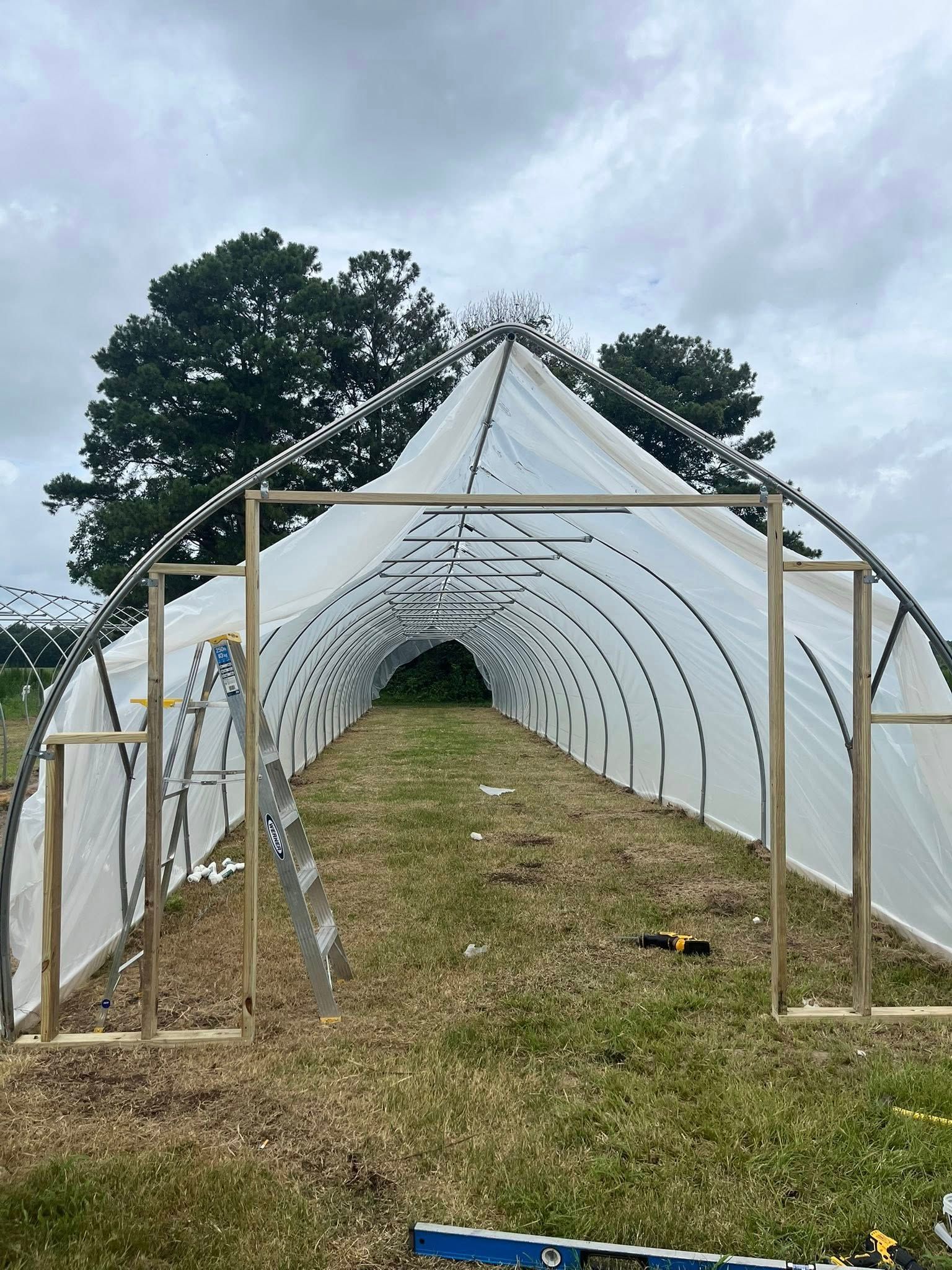 A white arched greenhouse frame covered in plastic sheeting, viewed from the open entrance on a grassy field.