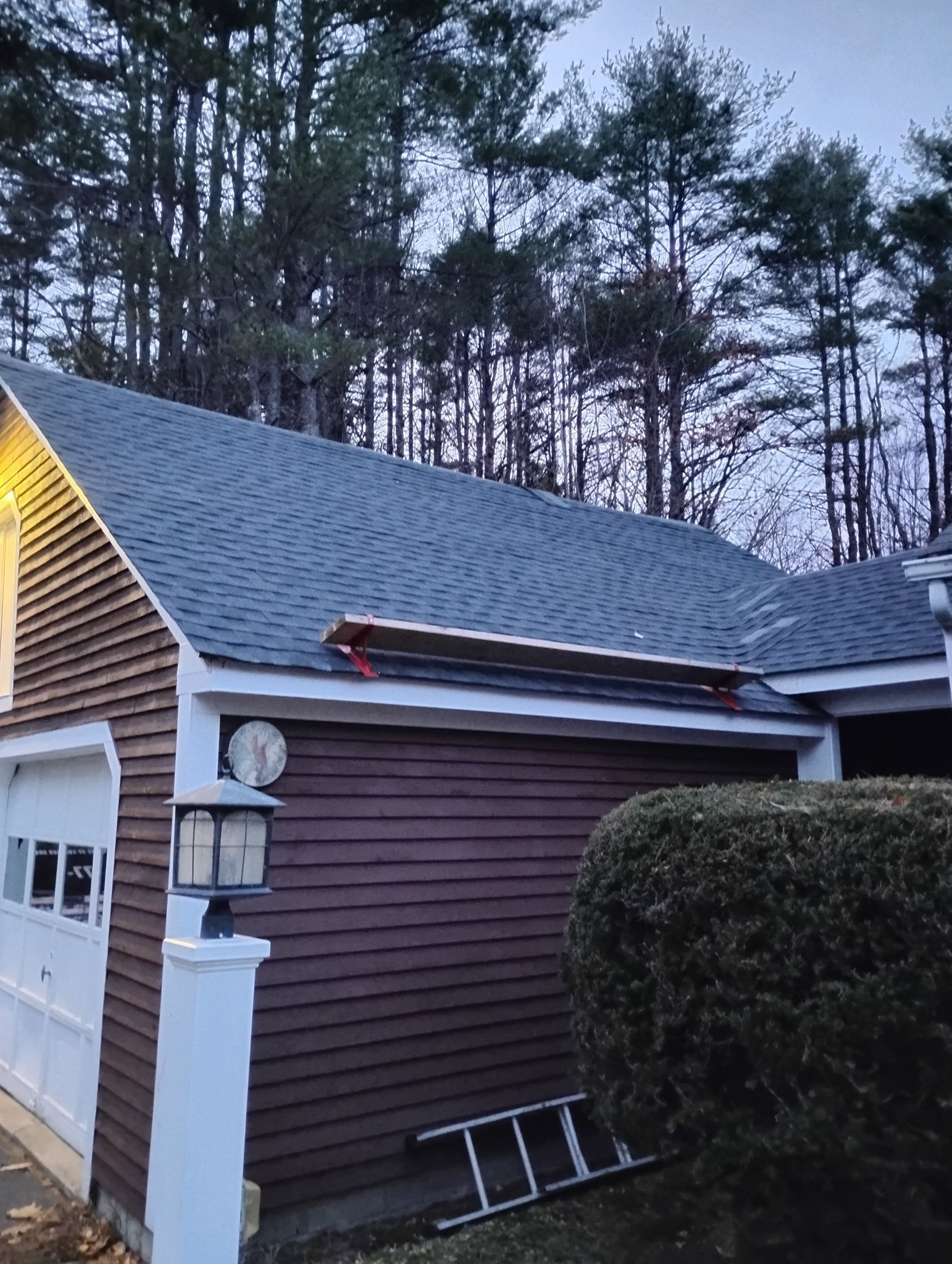 A wooden board rests on the shingled roof of a brown-sided garage near a bush and a ladder, with pine trees in the back.