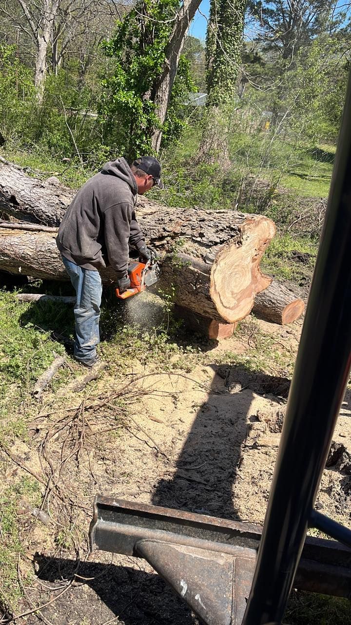 A person wearing a grey hoodie and blue jeans uses a chainsaw to cut a large fallen log in a sunny, wooded area.