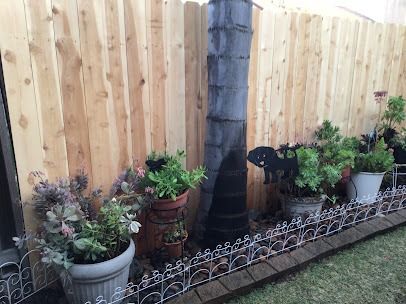 Wooden fence with potted plants along the base, including a palm tree.