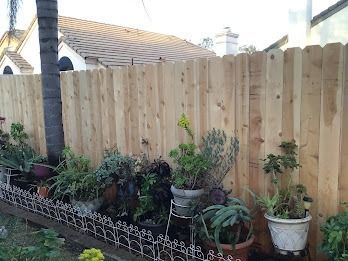 Wooden fence with potted plants along the bottom, set in a backyard.