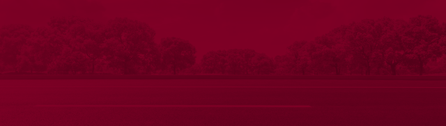 Outside in Red Overlay | Chuck's Automotive