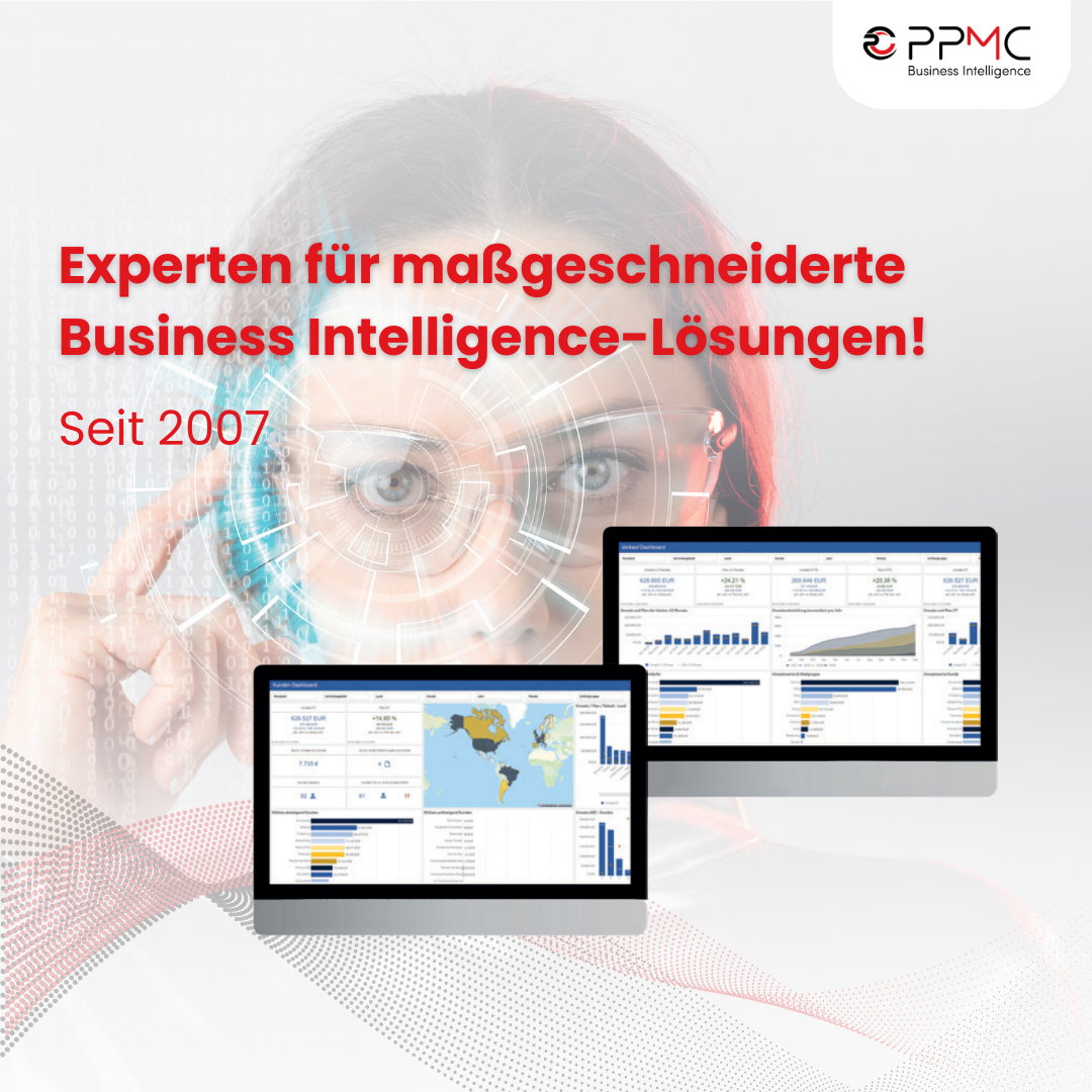 ppmc sind Experten für maßgeschneiderte Business Intelligence Lösungen