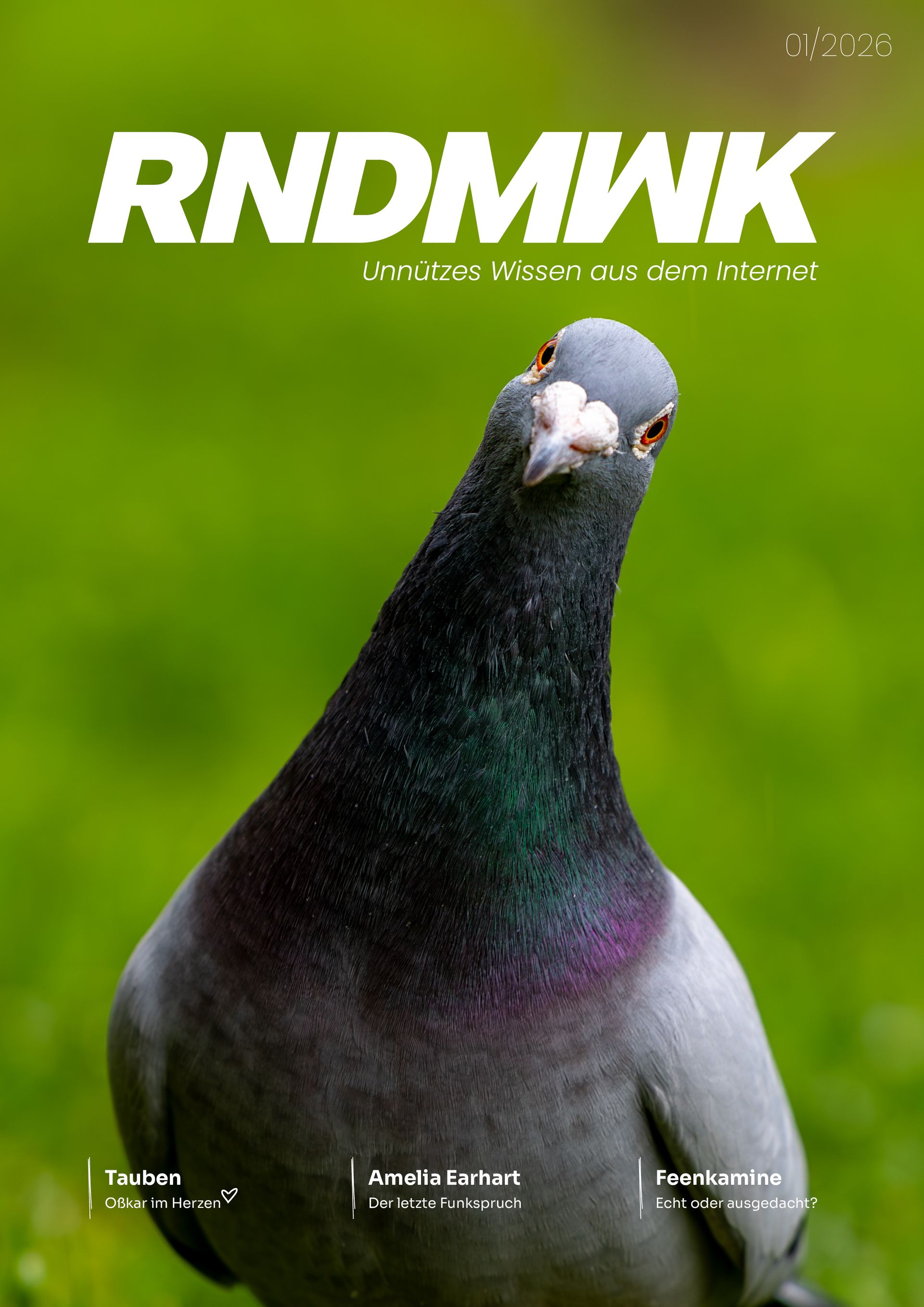 Magazincover mit einer Nahaufnahme einer Taube vor hellgrünem Hintergrund und dem Titel „RNDMNK“ oben.