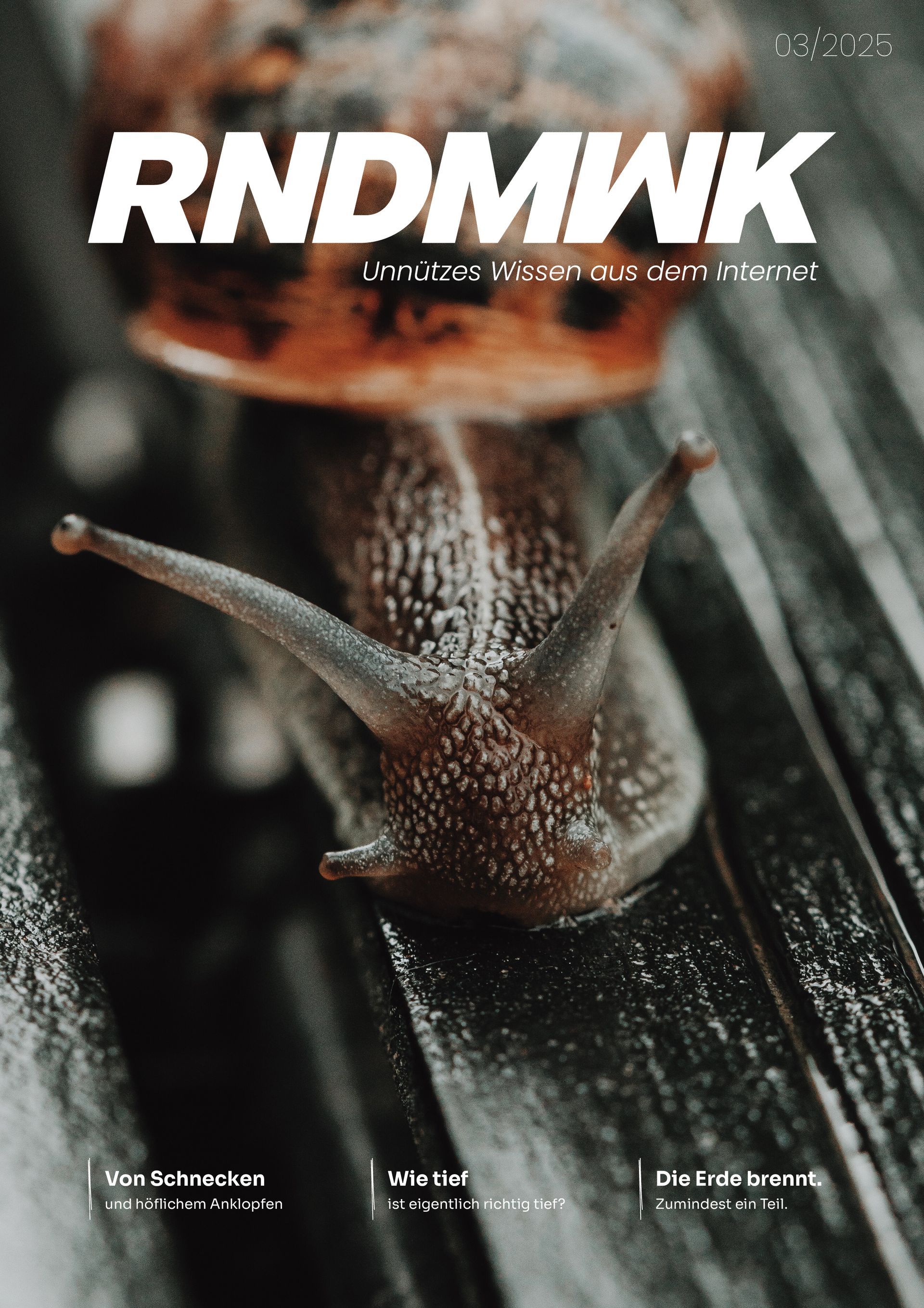 Nahaufnahme einer braunen Schnecke auf einem dunklen, nassen Blatt mit darüberliegendem, fettgedrucktem weißen Titeltext.