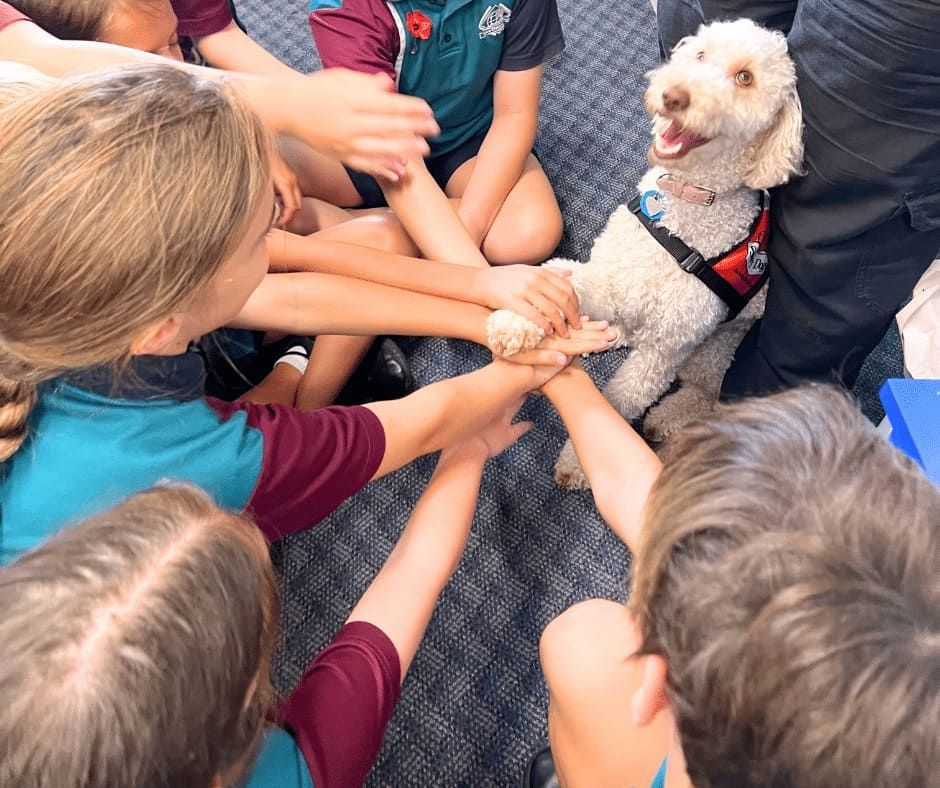 A Group of Children Putting Their Hands Together in a Circle — Nyblad Construction in Caloundra West, QLD