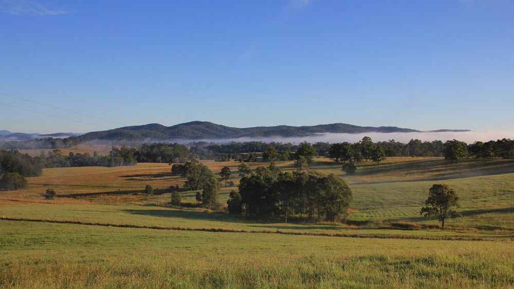A Lush Green Field With Trees And Mountains In The Background — Bago Auto Dismantlers in Wauchope, NSW