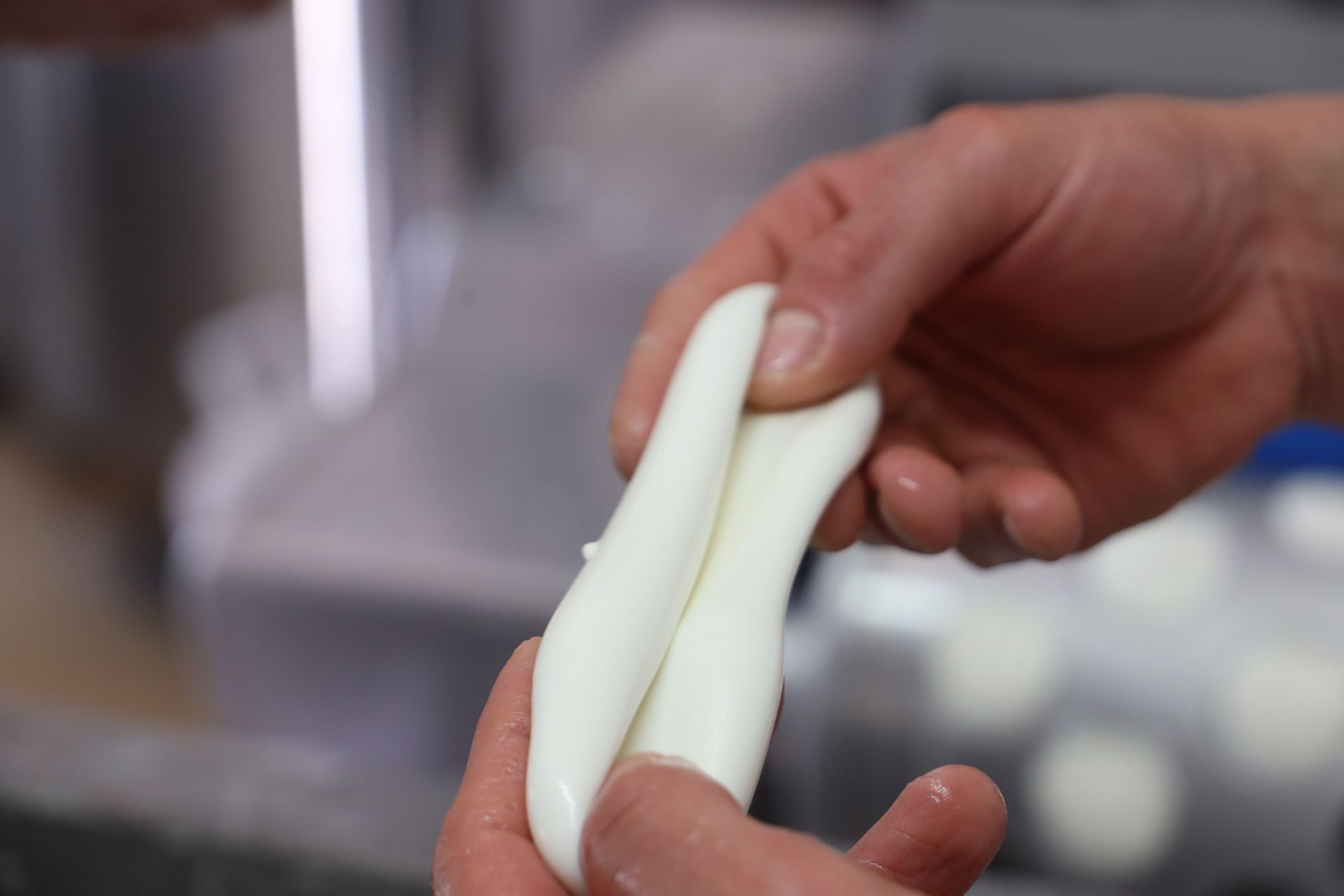 dettaglio mozzarella