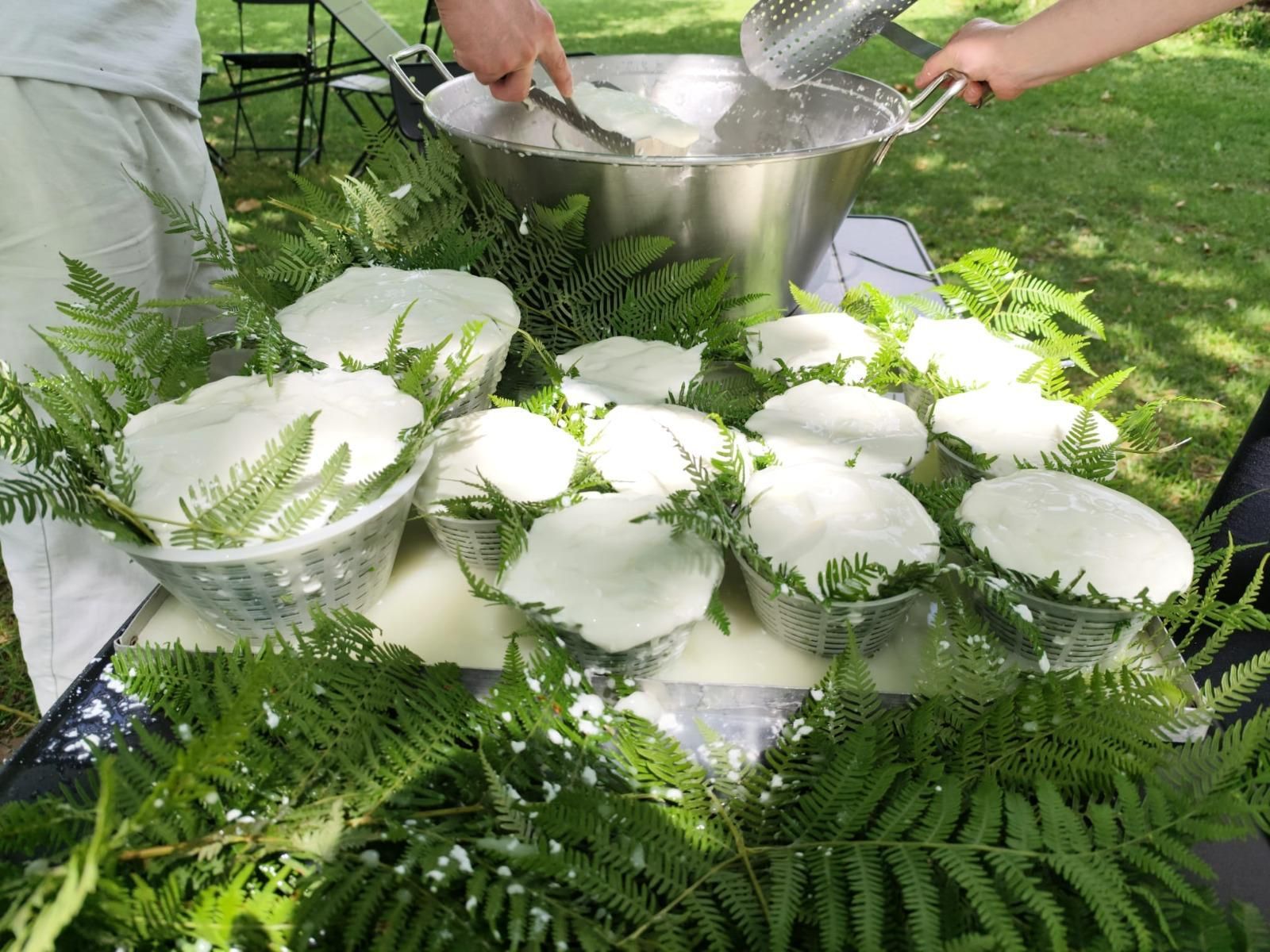 formaggi artigianali del Cilento firmati Tenuta Chirico
