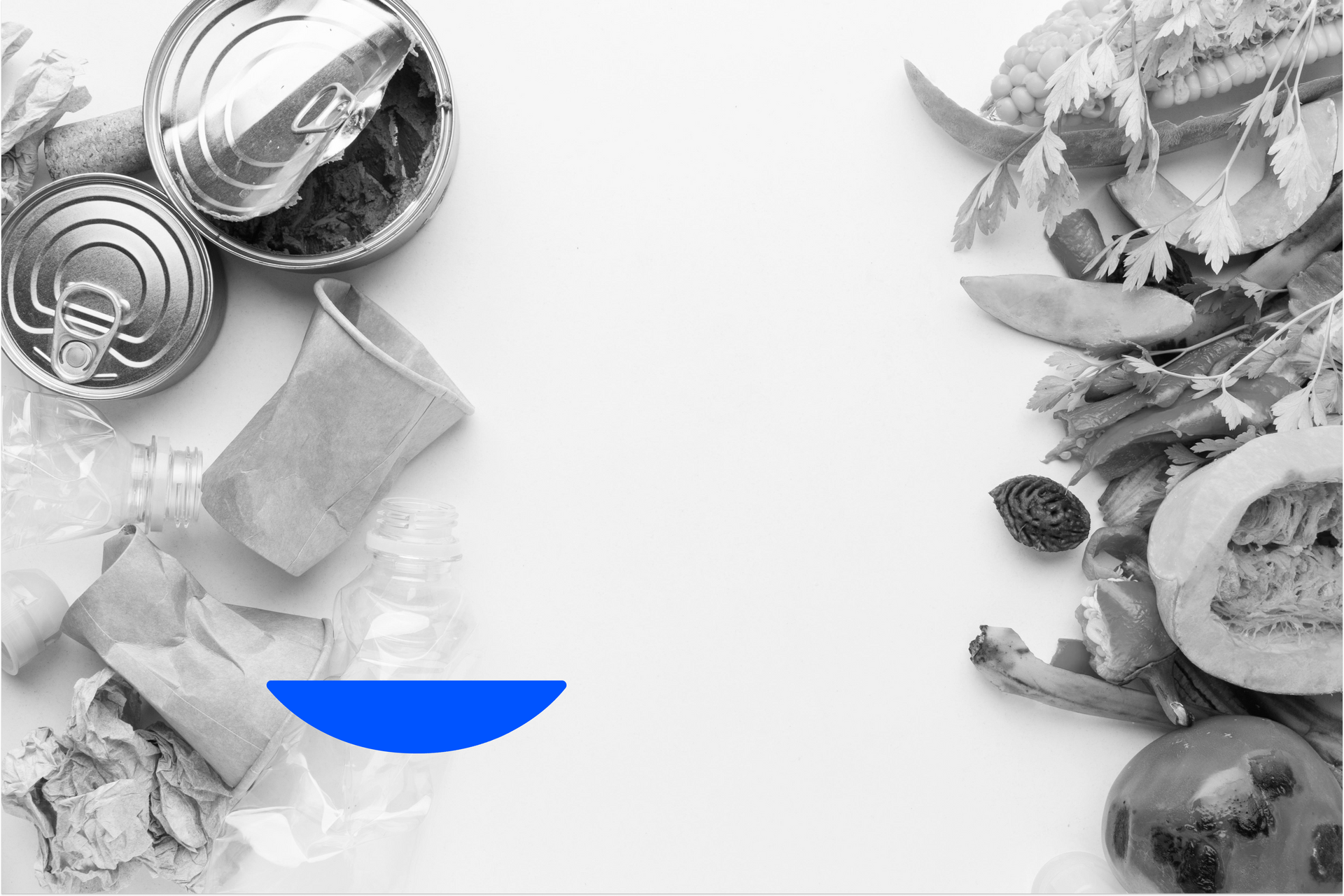 Le gaspillage alimentaire, comment le limiter ?