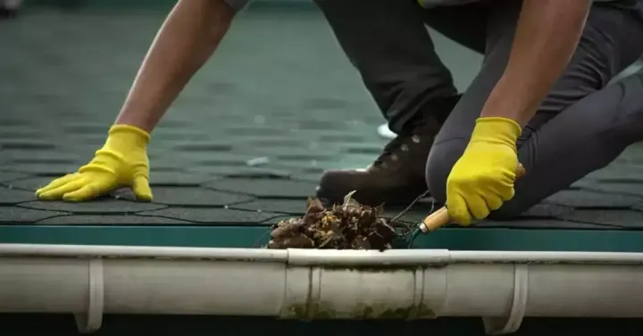 Two gloved workers cleaning debris from a roof gutter.