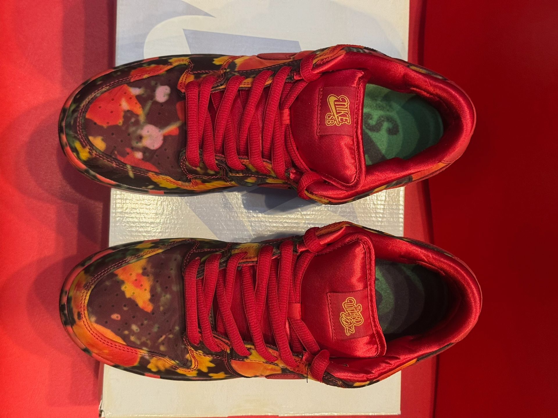 10.5M Nike SB Dunk Low Wizard of OZ 2