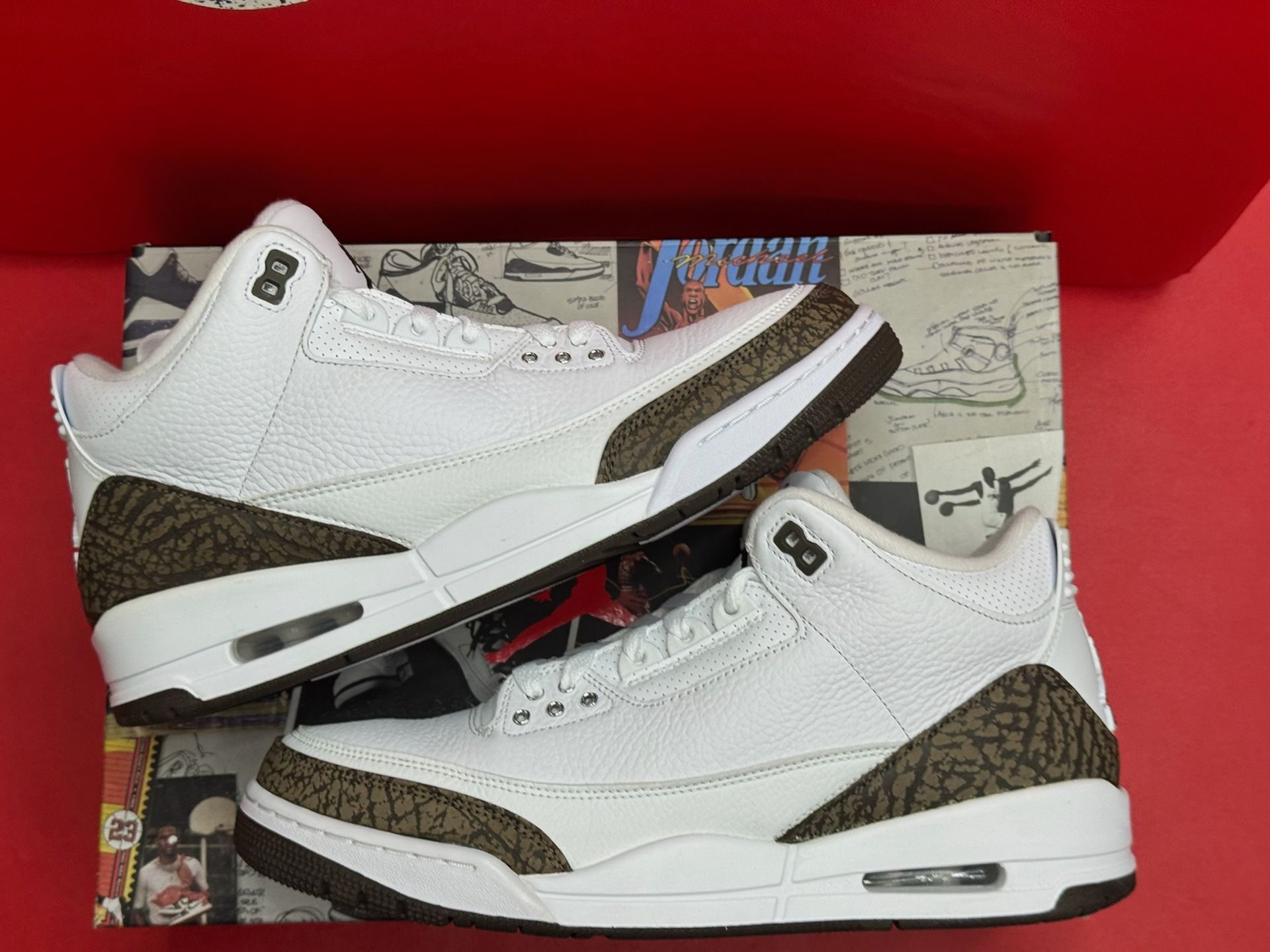 10.5M Jordan 3 Retro Mocha (2018)