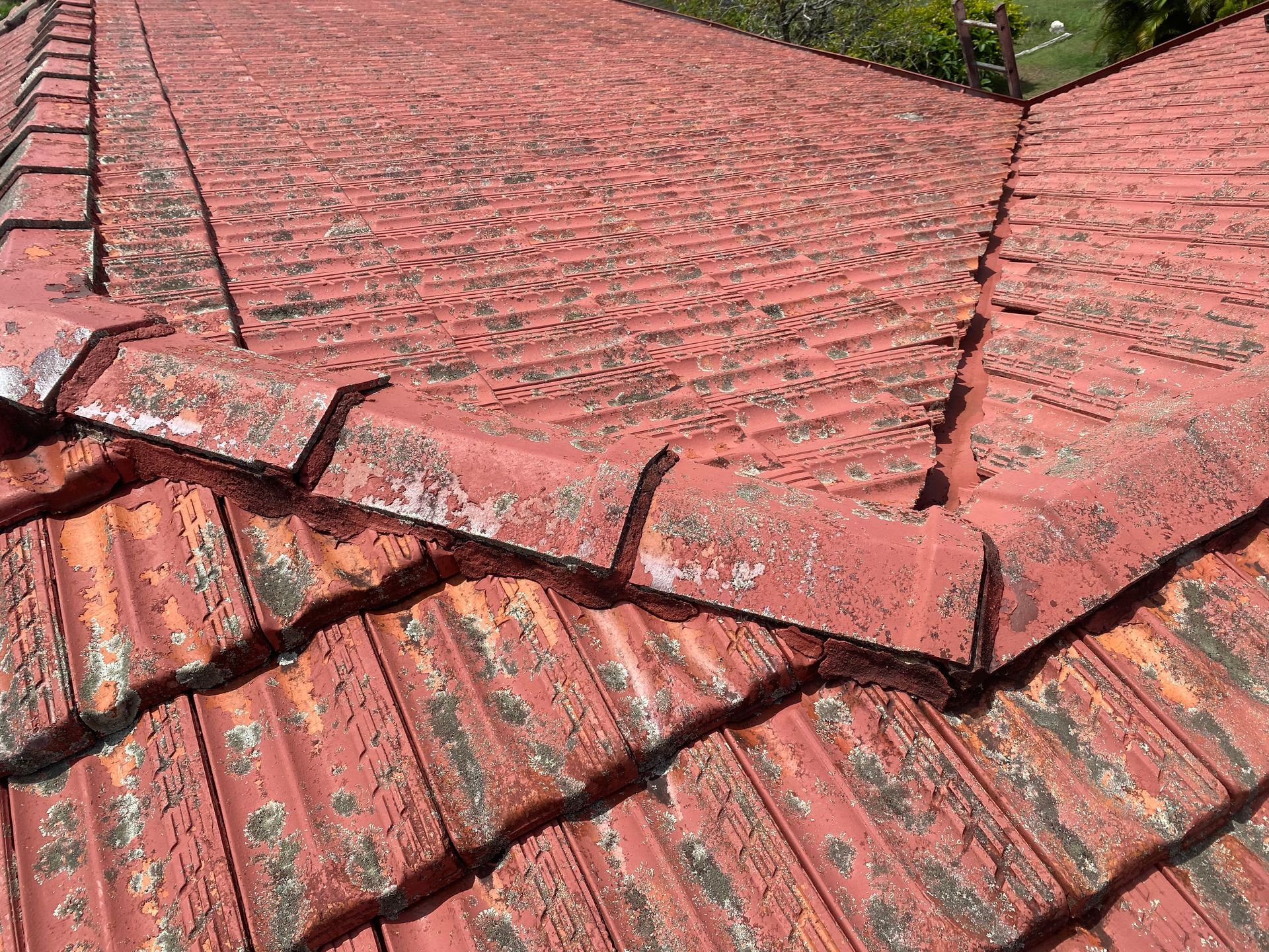 Red tiled roof with peeling paint; close-up view.