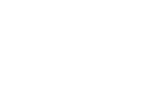 logo de baguer