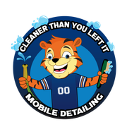 Cleaner Than You Left It Mobile Detailing