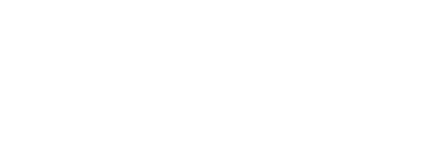 IL FURGONE DEL FRENO