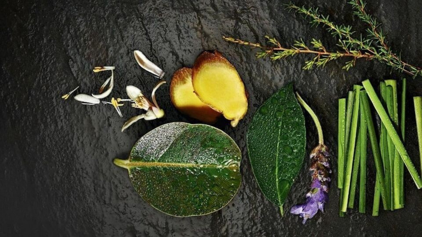 Assorted herbs, turmeric, and sliced lime arranged on a dark rustic background.