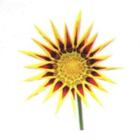 Stylized yellow and red flower with a green stem on a white background