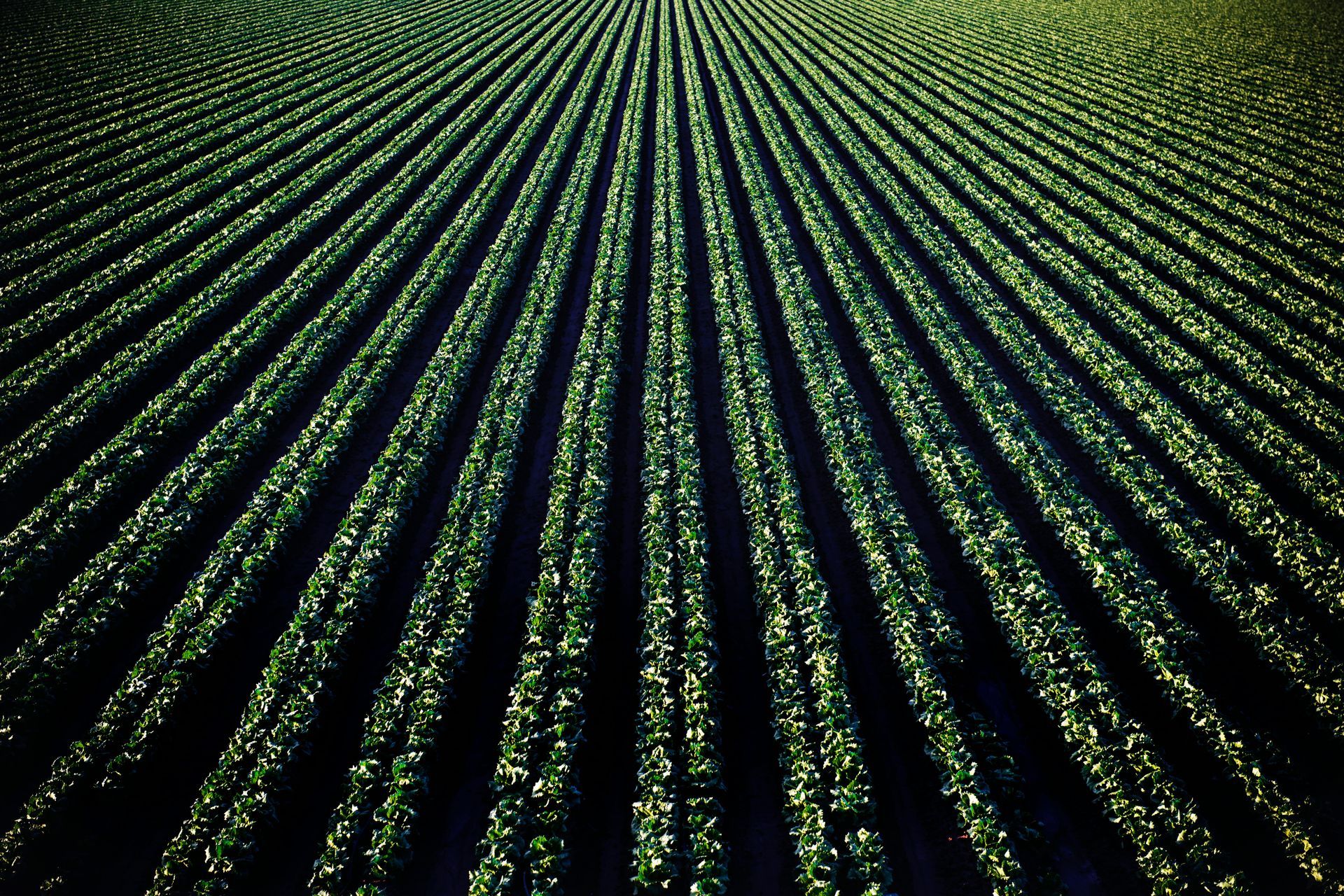 Farm land