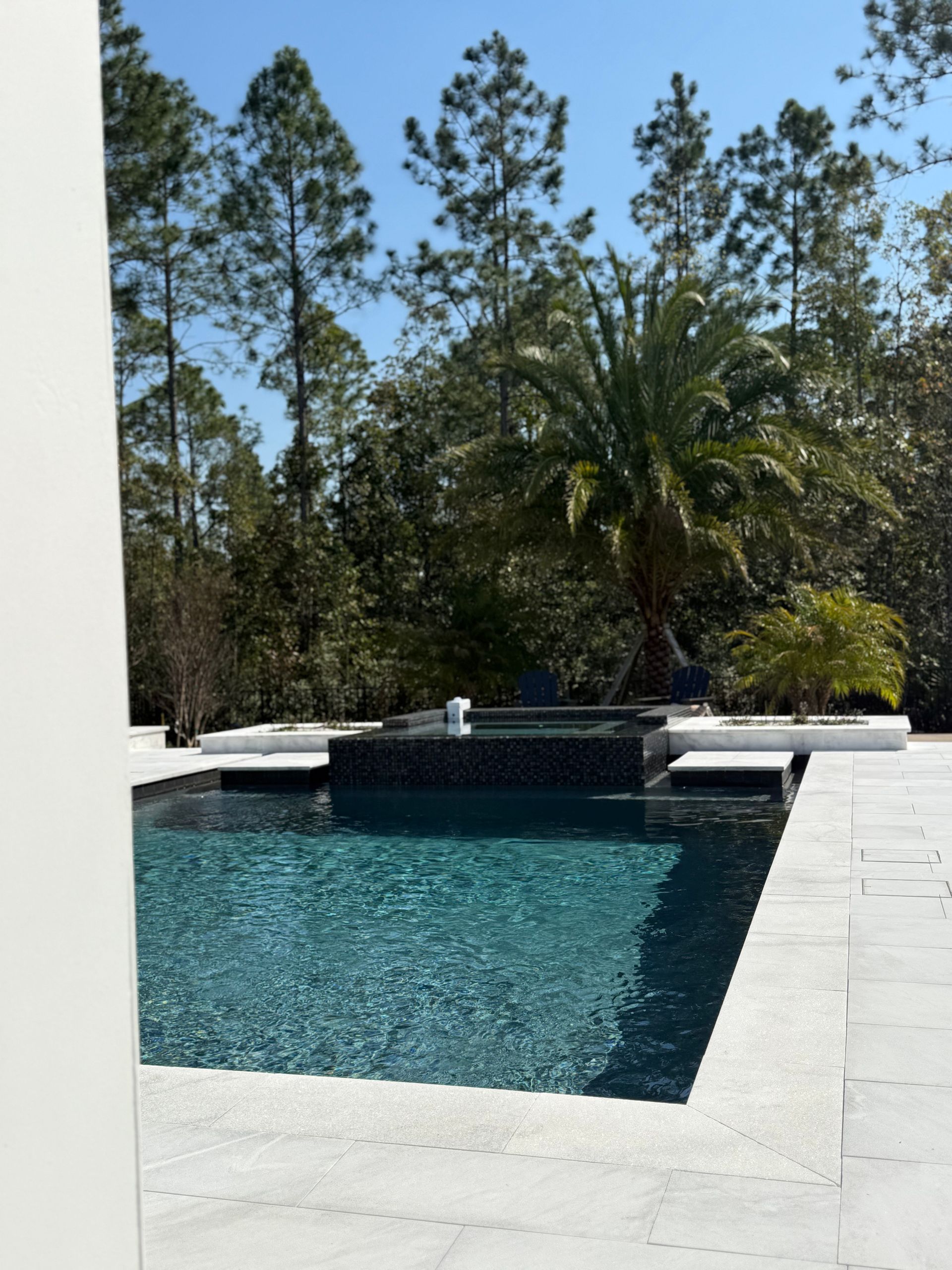 Swimming pool with dark water and stone patio, palm tree in the background, clear blue sky.