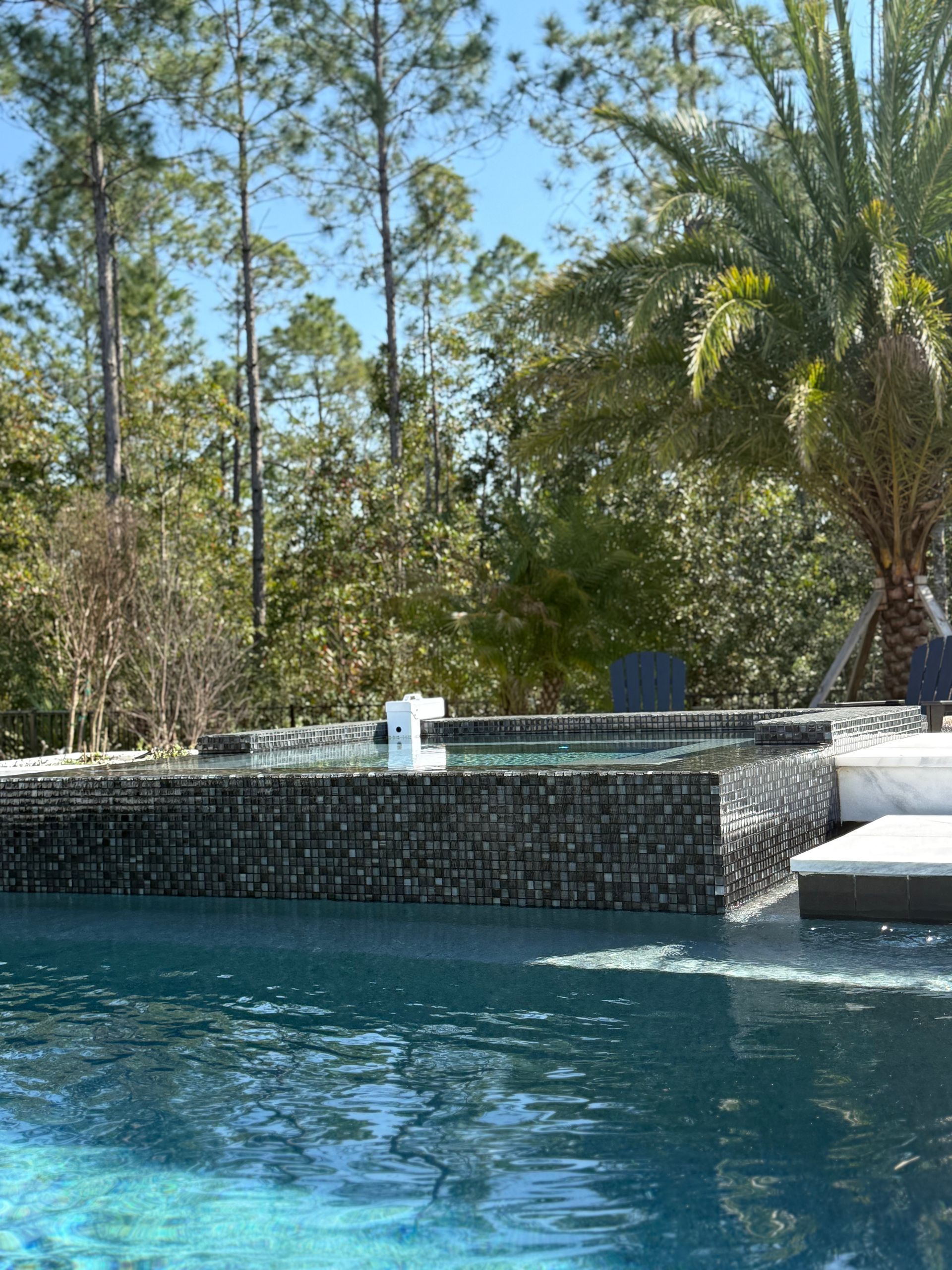 Pool with a dark tile wall, clear blue water, surrounded by trees under a sunny sky.