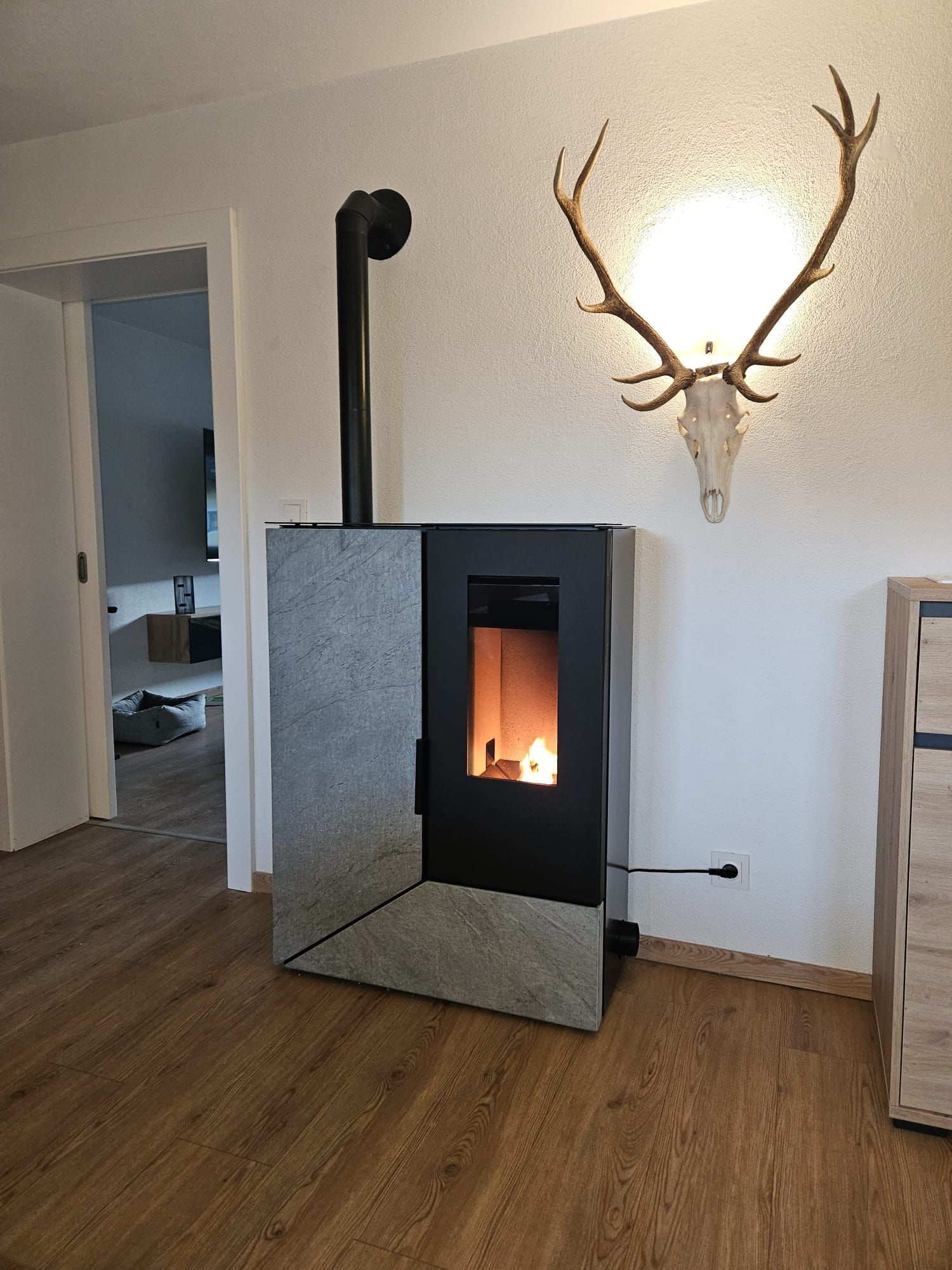 Modernes Wohnzimmer mit brennendem Holzofen, grauen Wänden, Holzboden und an der Wand befestigten Geweihen.