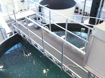 Recirculating aquaculture systems (RAS systems)