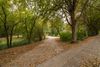 Zonnig wandelpad in het park