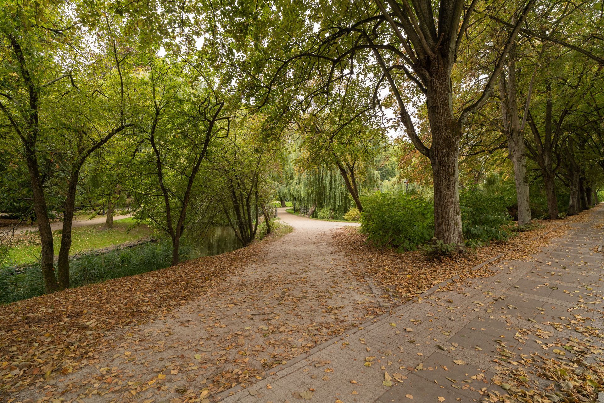 Zonnig wandelpad met herfstbladeren in een rustig park.