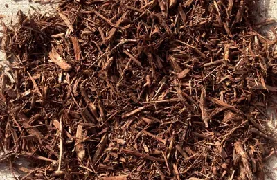 Mulch Vancouver