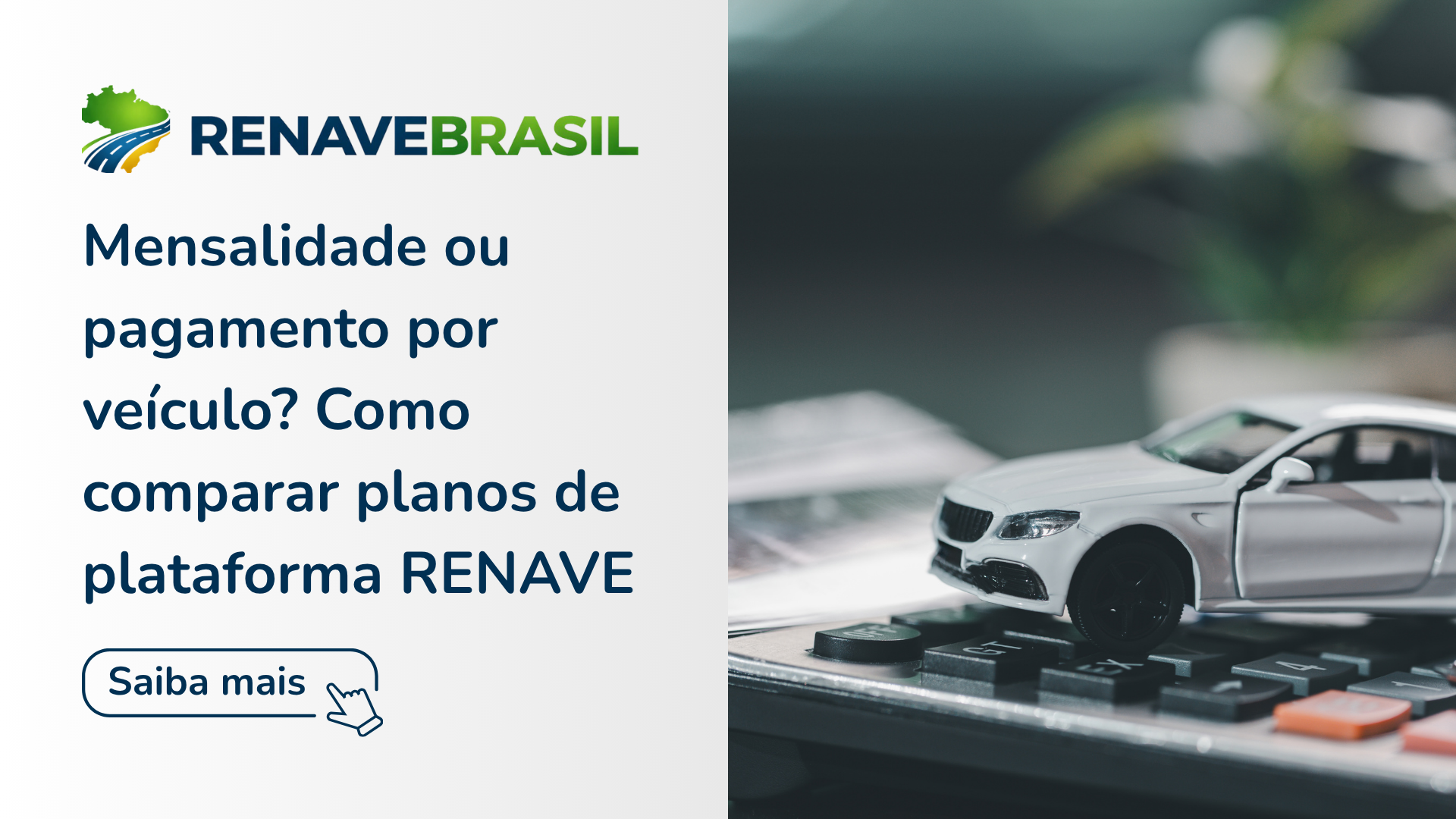 Mensalidade ou pagamento por veículo no RENAVE?