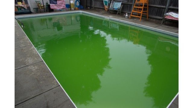 Green algae pool in Bakersfield before treatment by Hurst Pool Service