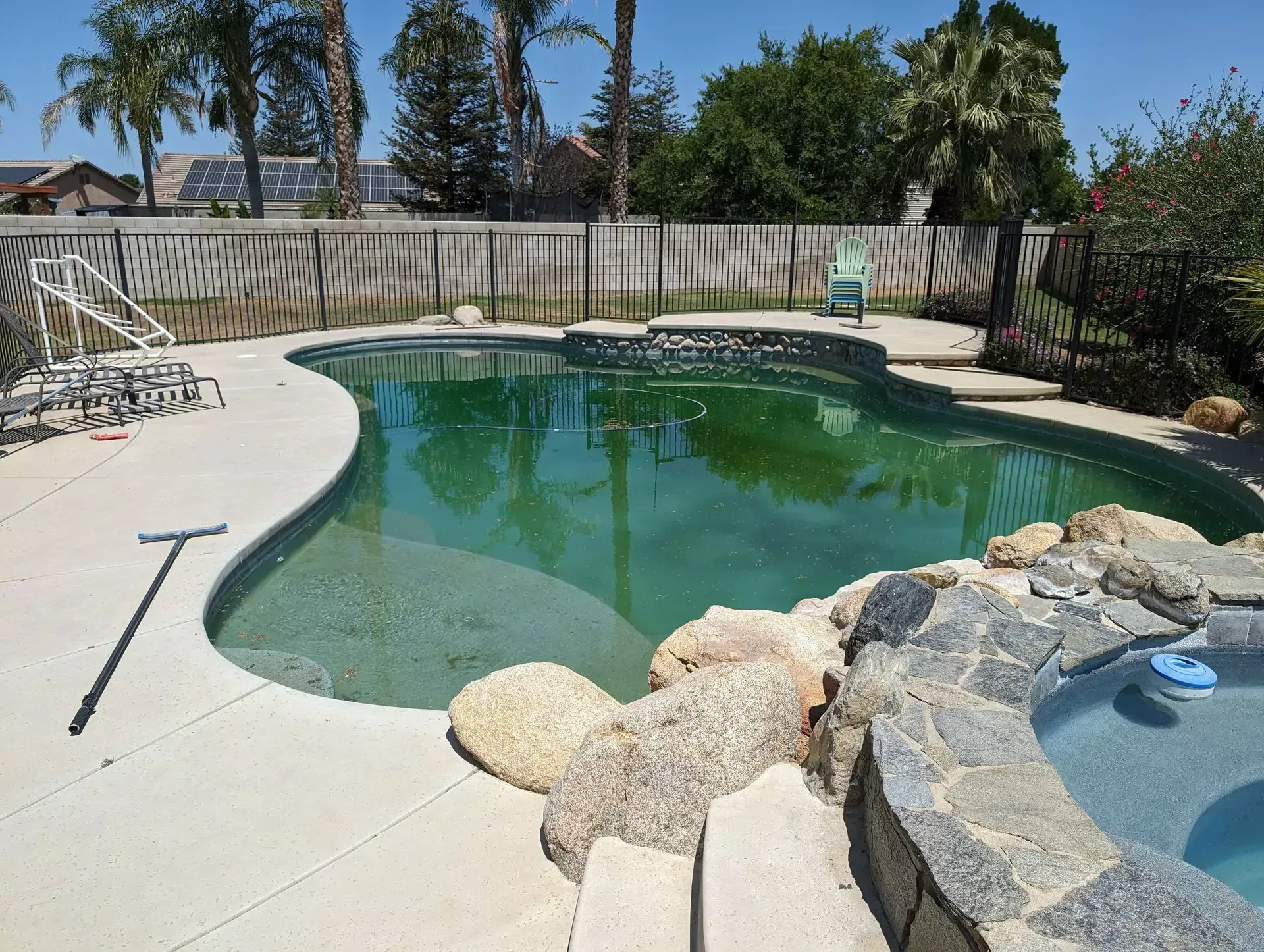 Severely neglected green pool in Bakersfield CA before pool cleaning service