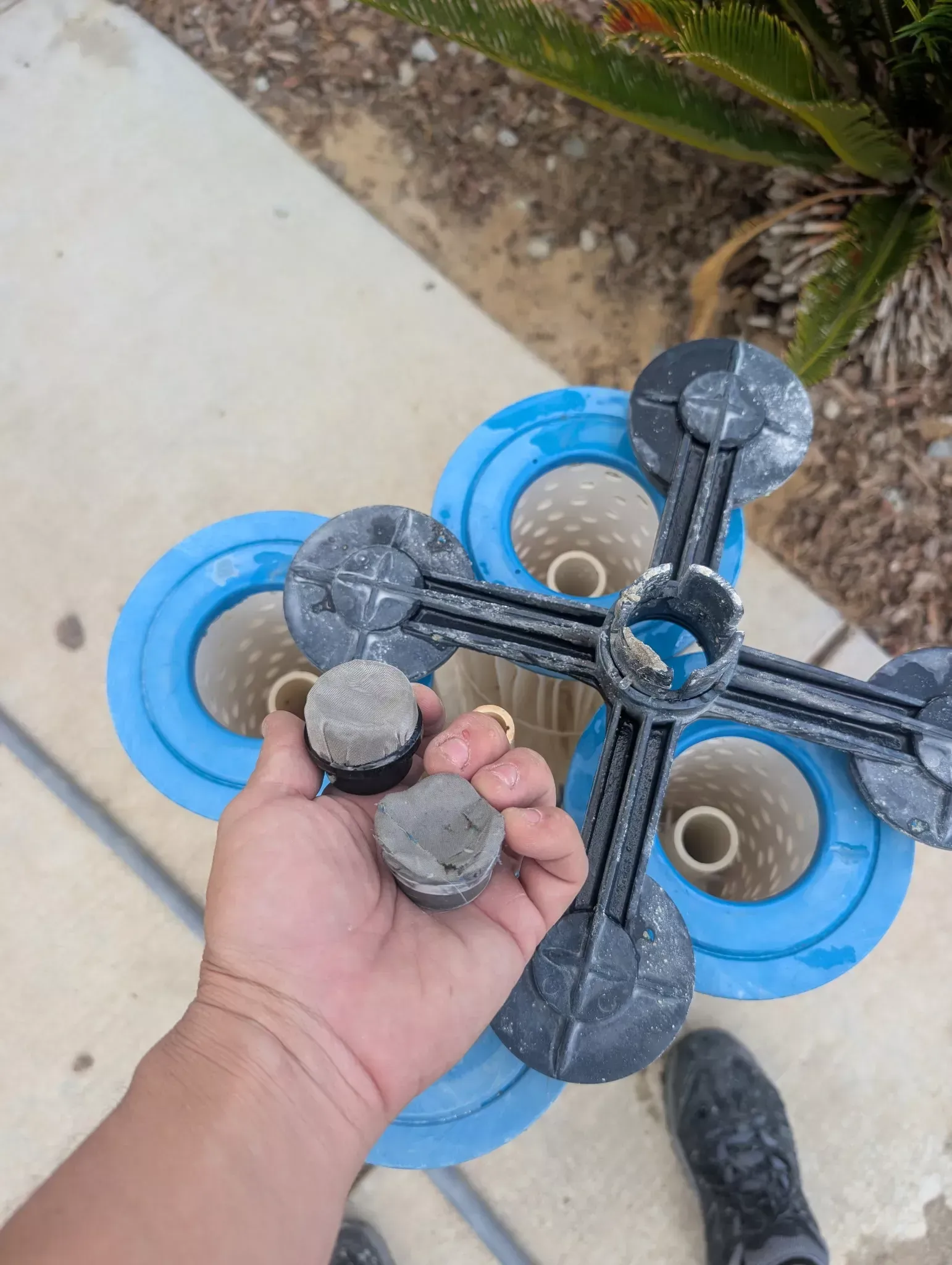Pool filter grid assembly being inspected during a pool service visit in Bakersfield