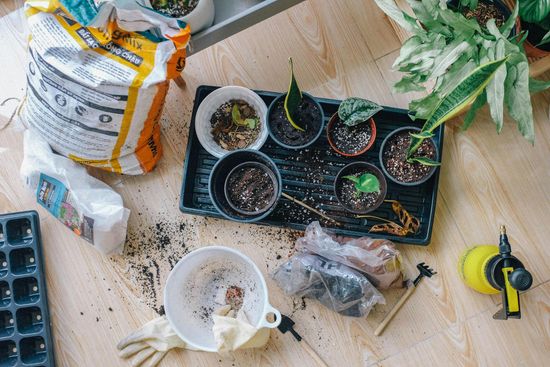 Prodotti per il giardino