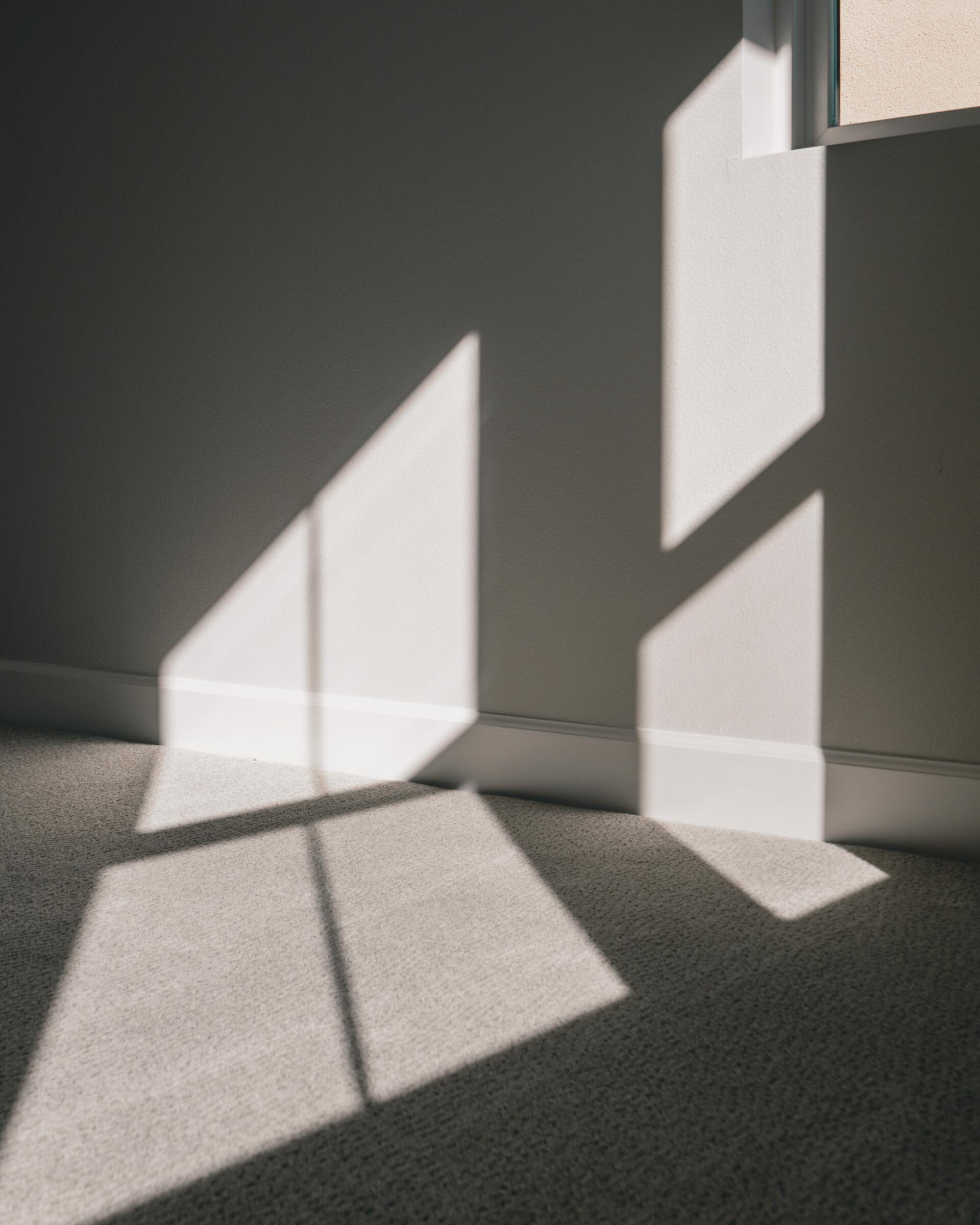 Carpet Cleaning