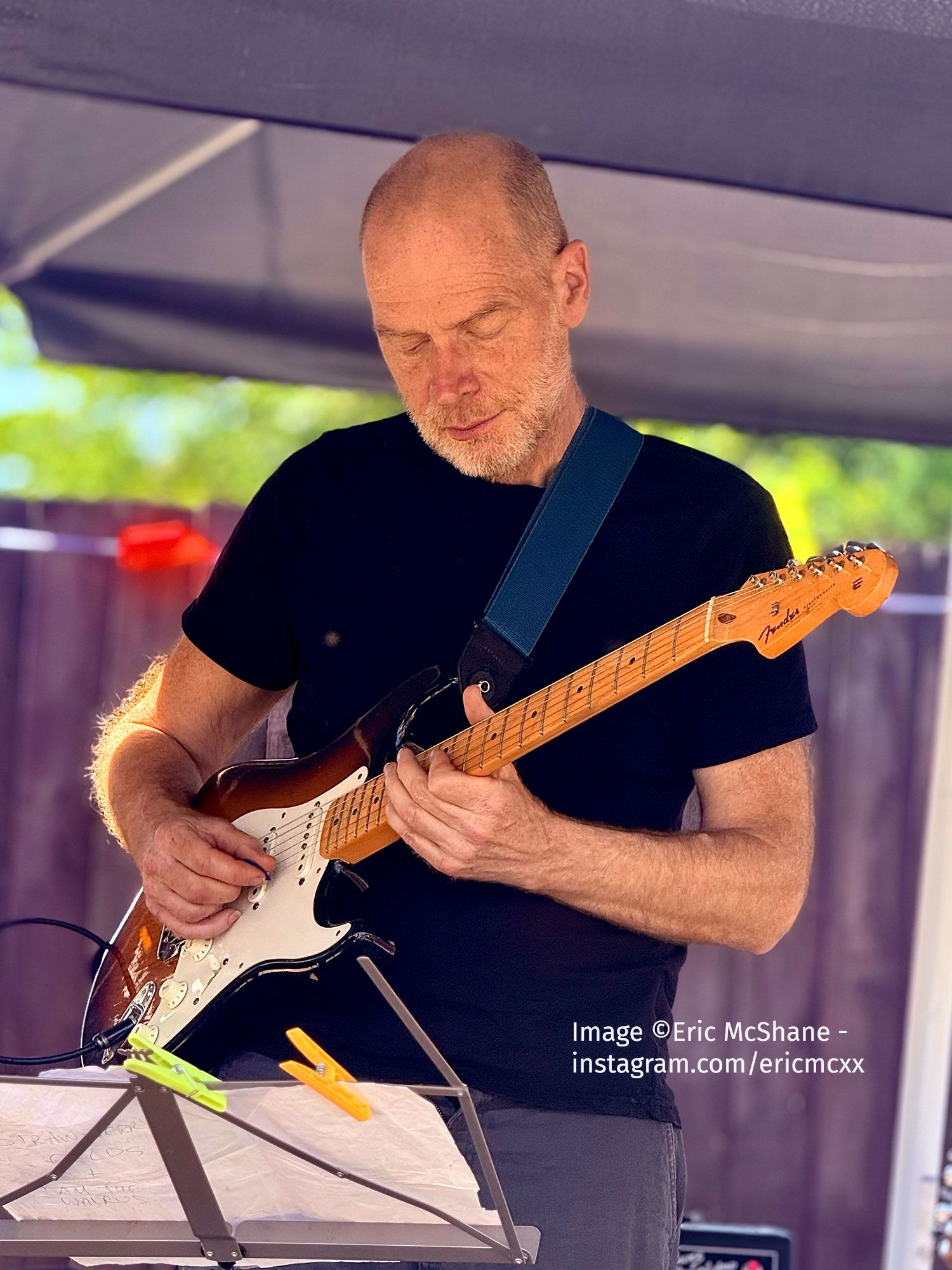 Hungry Bears Band - Rob Williams