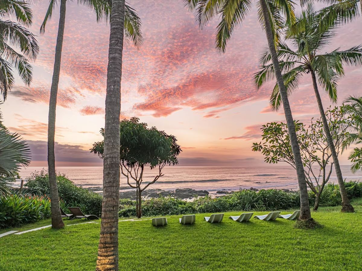 Pelouse avec palmiers, chaises longues et vue sur l'océan au coucher du soleil ; ciel rose et orange.