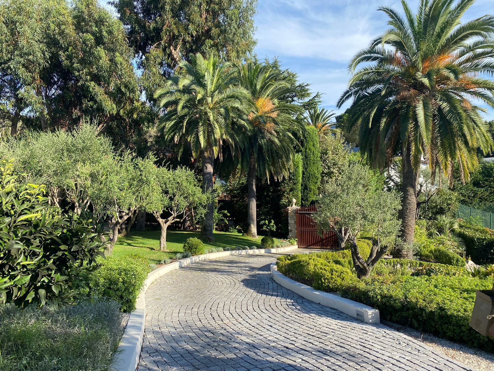 Un chemin de pierre serpente à travers un jardin luxuriant planté de palmiers et d'autres arbres sous un ciel bleu.