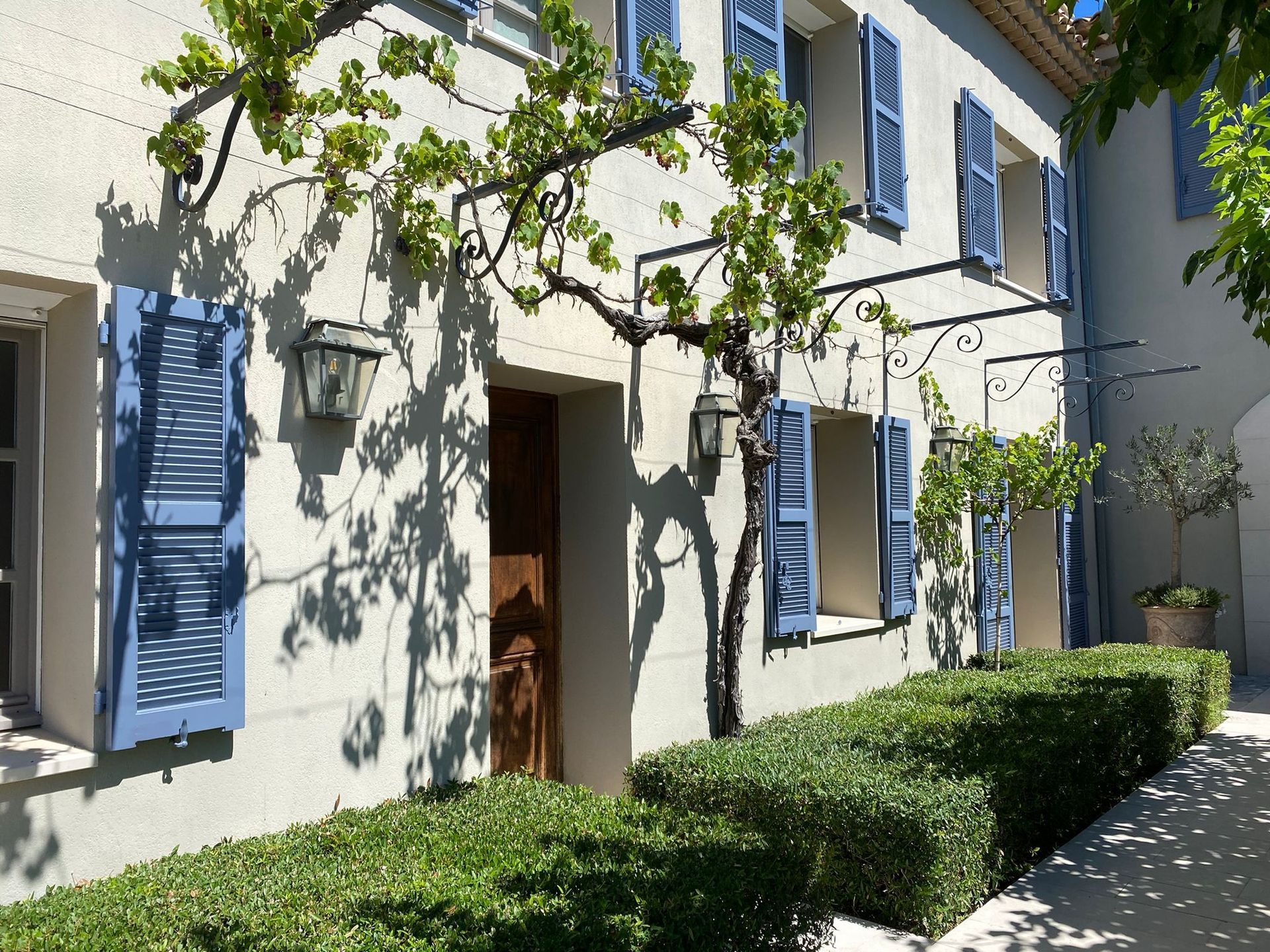 Extérieur du bâtiment avec volets bleus, vignes et buissons taillés.